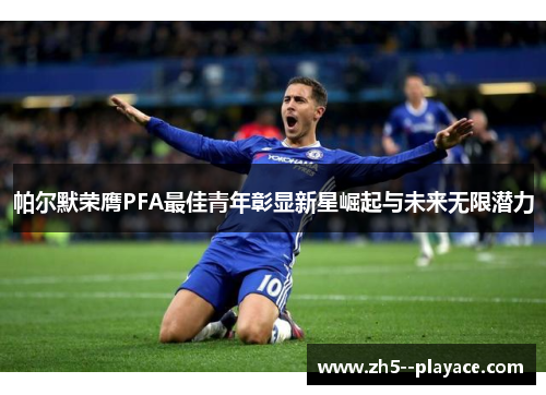 帕尔默荣膺PFA最佳青年彰显新星崛起与未来无限潜力